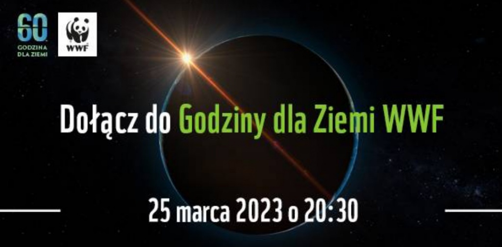 Galeria zdjęć