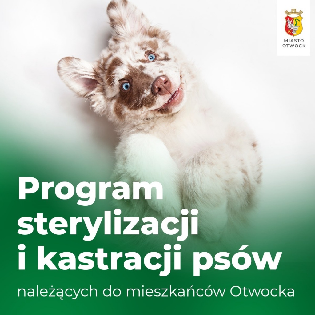Galeria zdjęć
