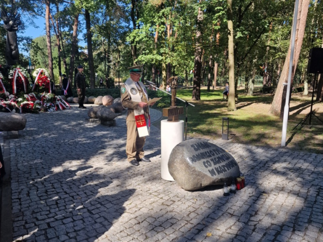Galeria zdjęć