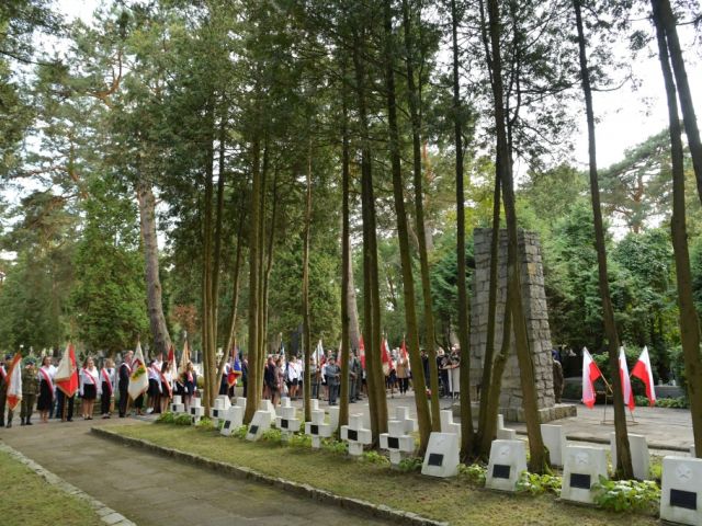Galeria zdjęć