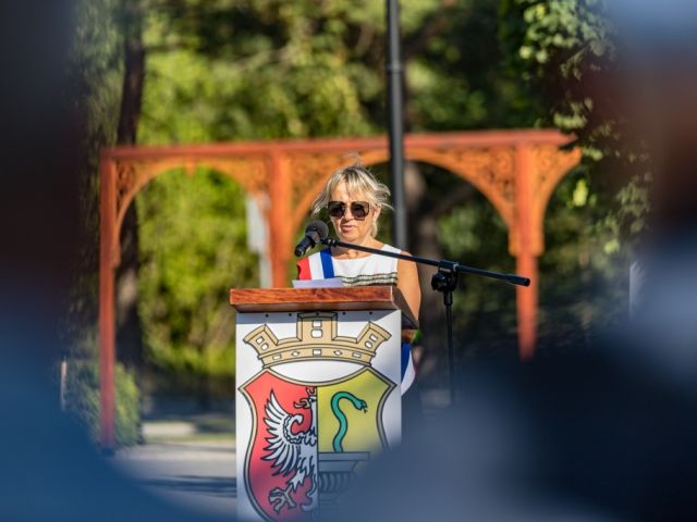 Galeria zdjęć