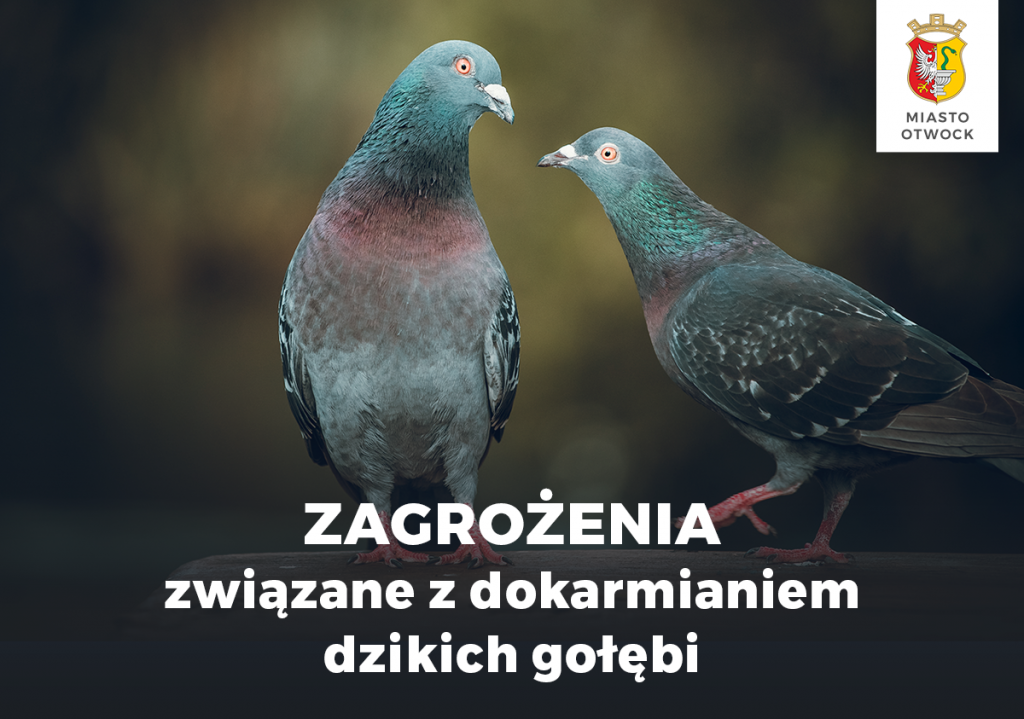 Galeria zdjęć