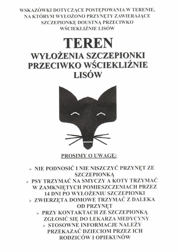 Galeria zdjęć