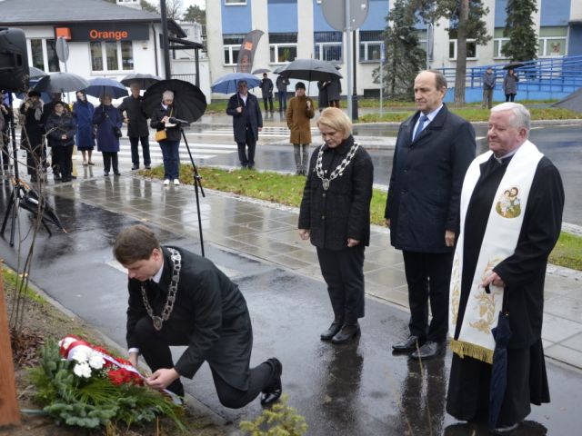 Galeria zdjęć