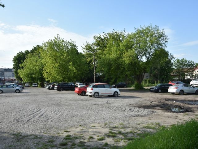 Galeria zdjęć
