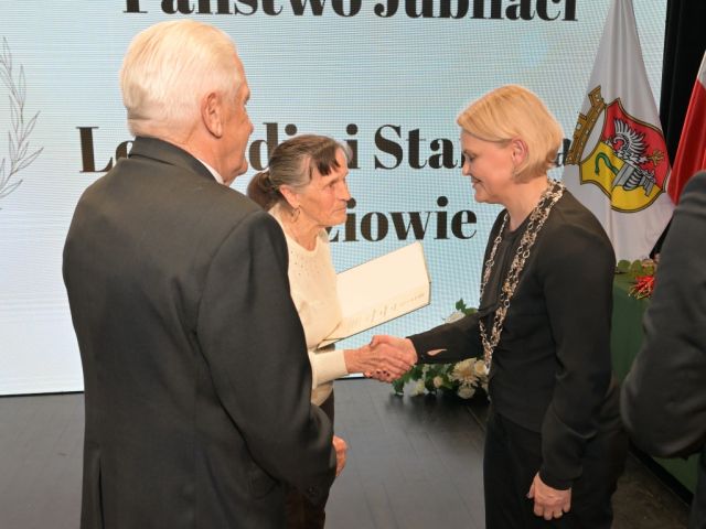 Galeria zdjęć