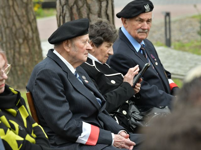 Galeria zdjęć