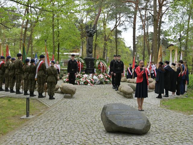 Galeria zdjęć