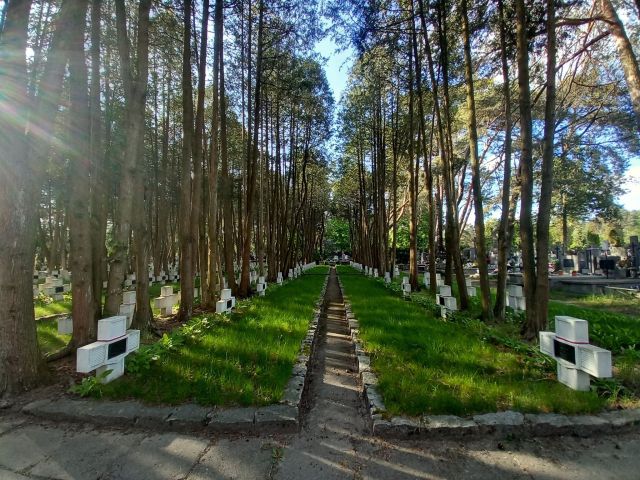 Galeria zdjęć