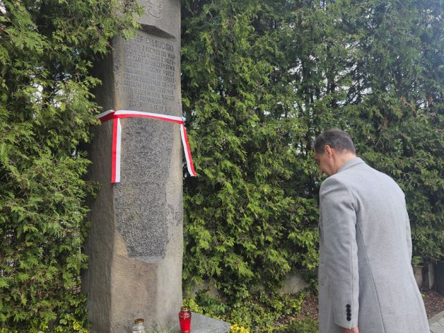 Galeria zdjęć