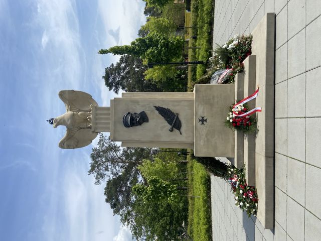 Galeria zdjęć