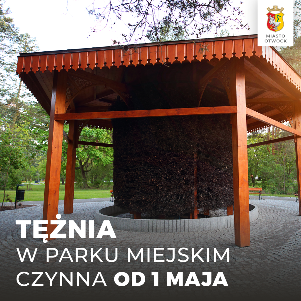 Galeria zdjęć