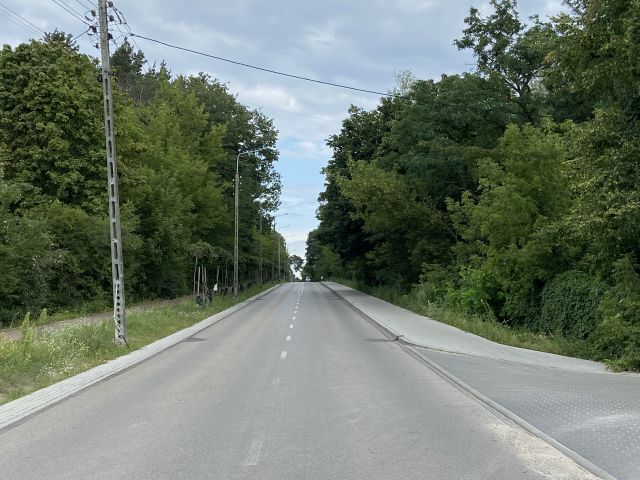 Galeria zdjęć