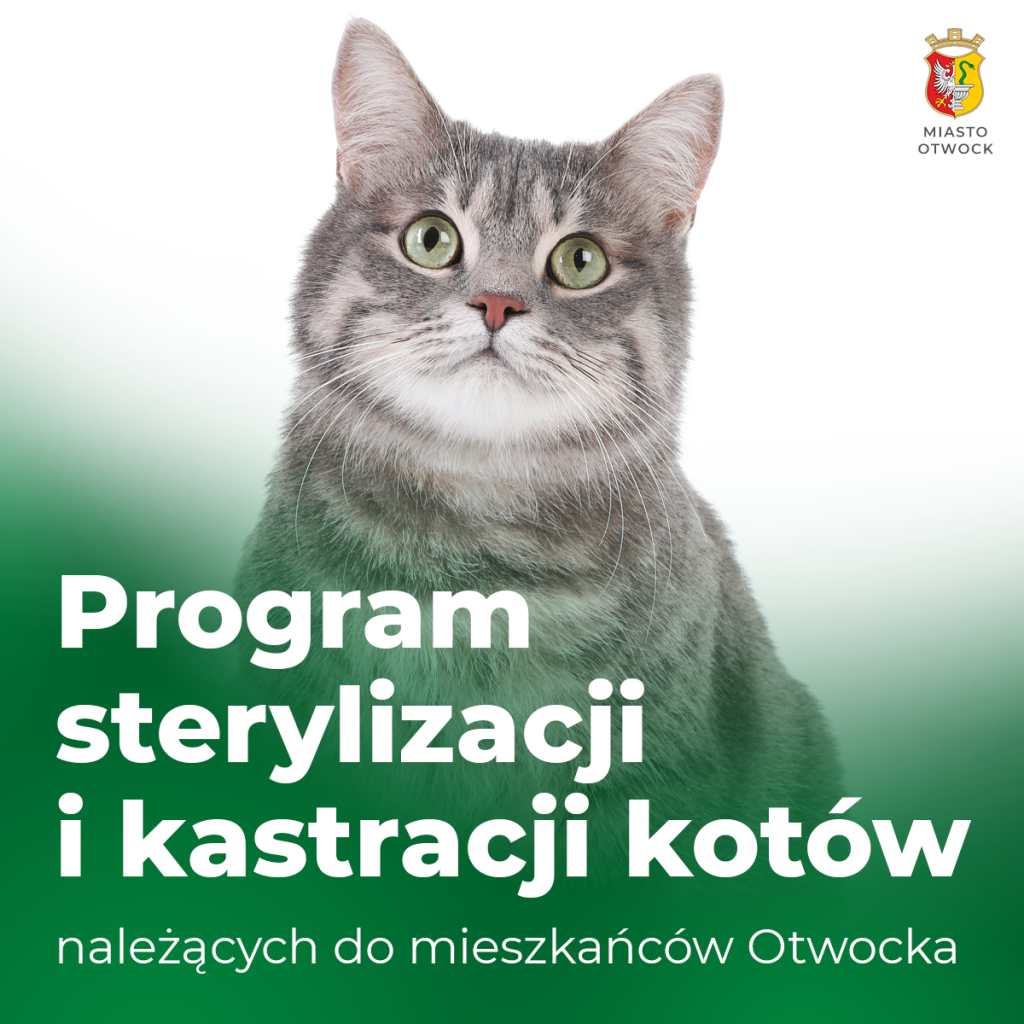 Galeria zdjęć