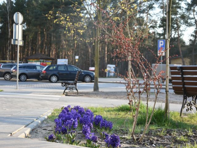 Galeria zdjęć