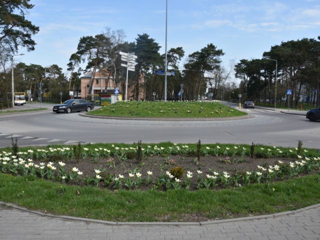 Galeria zdjęć
