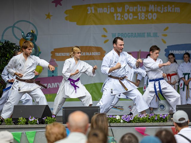 Galeria zdjęć