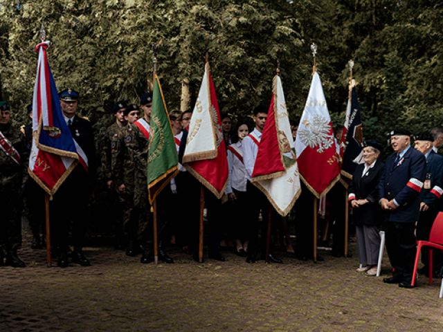 Galeria zdjęć