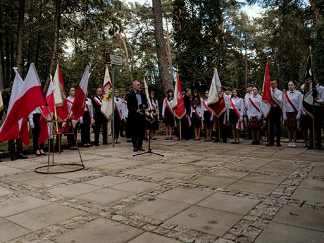 Galeria zdjęć