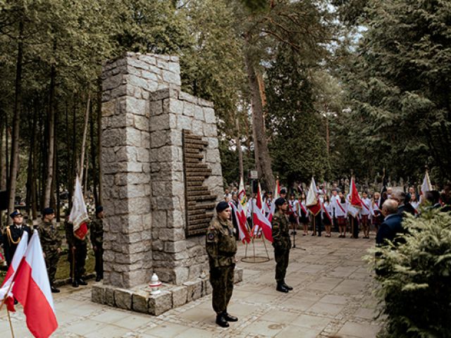 Galeria zdjęć