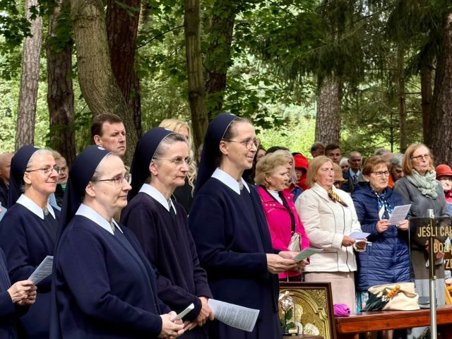 Galeria zdjęć