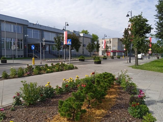 Galeria zdjęć