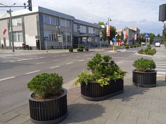 Galeria zdjęć