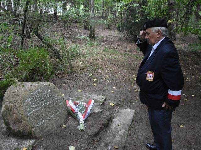 Galeria zdjęć