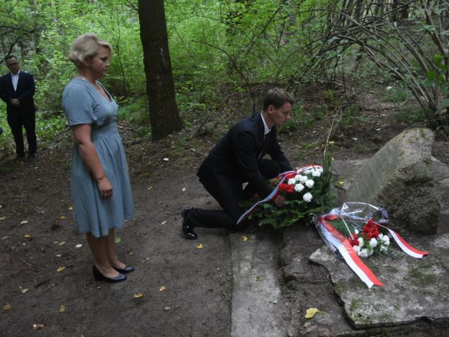 Galeria zdjęć