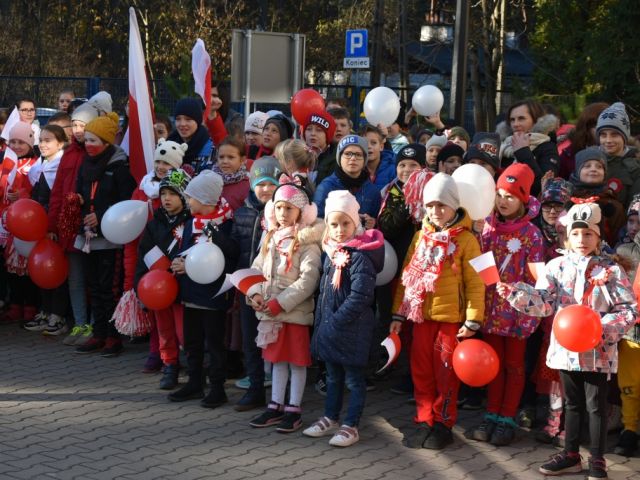 Galeria zdjęć