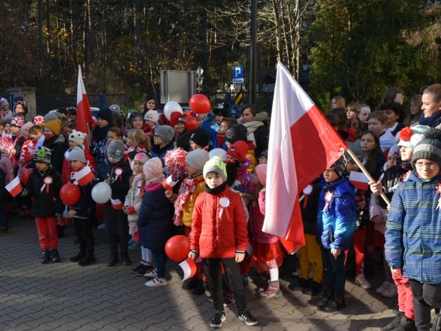 Galeria zdjęć