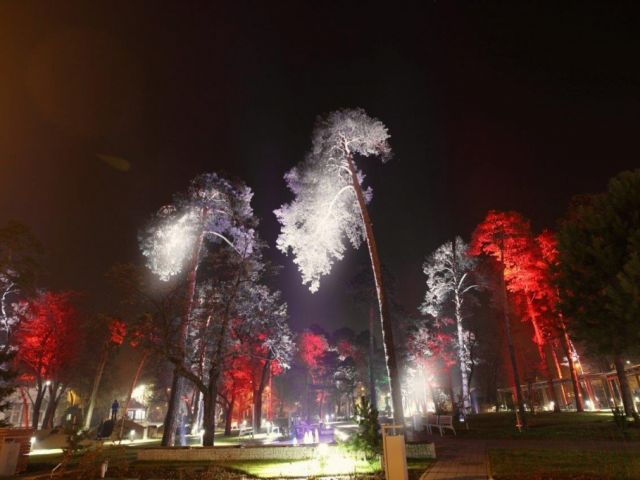 Galeria zdjęć