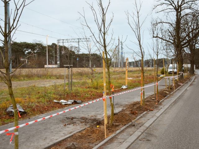 Galeria zdjęć