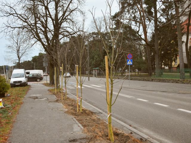 Galeria zdjęć
