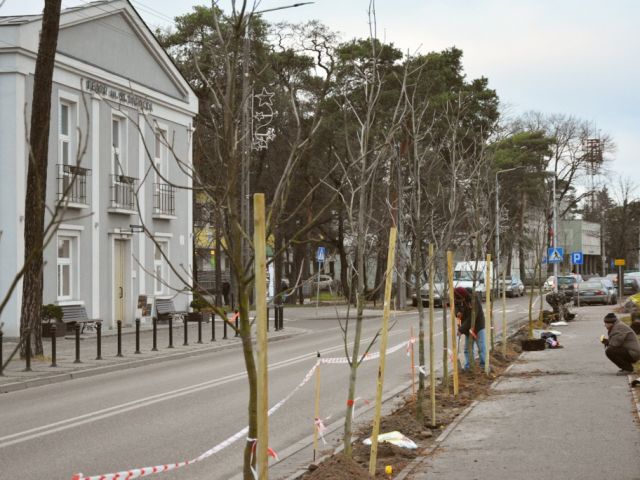 Galeria zdjęć