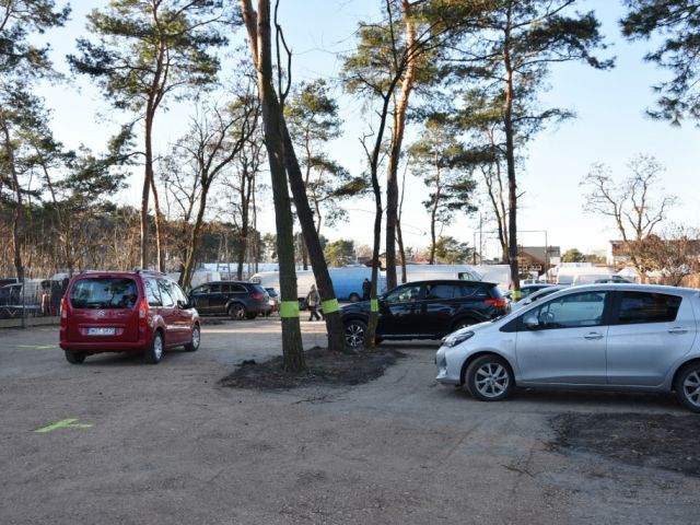 Galeria zdjęć