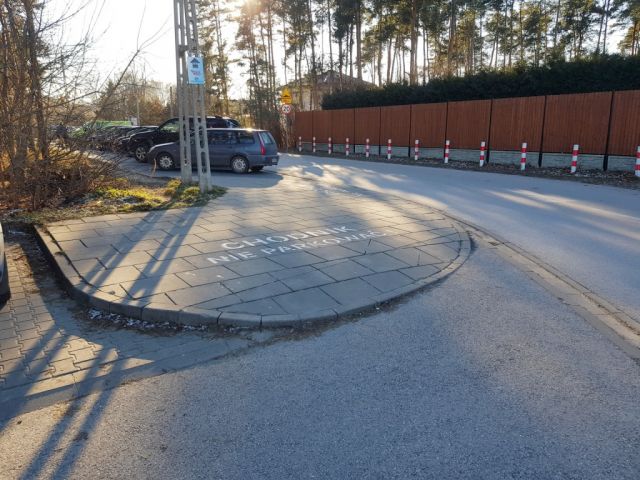 Galeria zdjęć