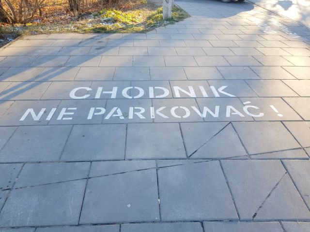 Galeria zdjęć