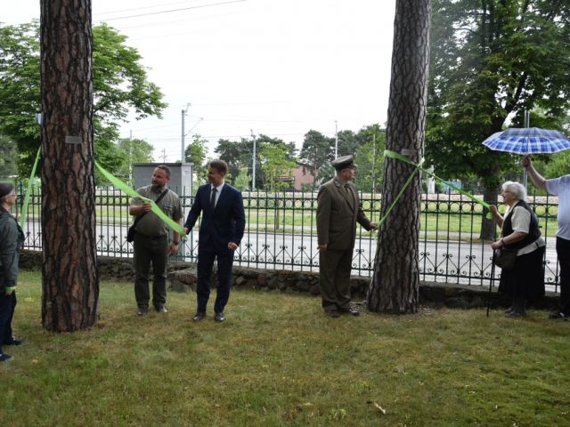 Galeria zdjęć