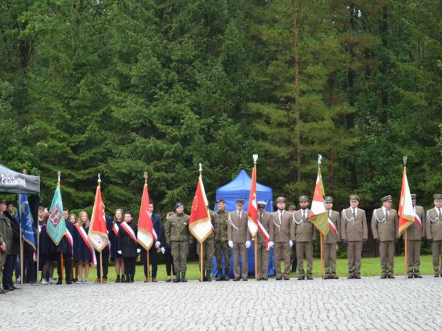 Galeria zdjęć