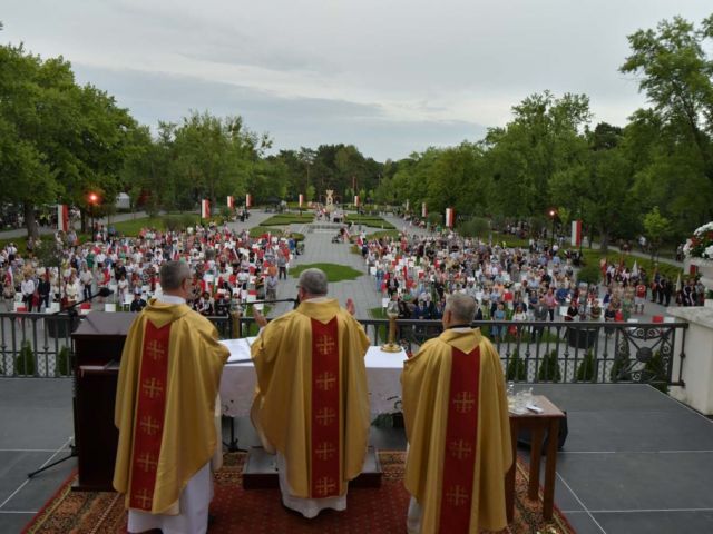Galeria zdjęć