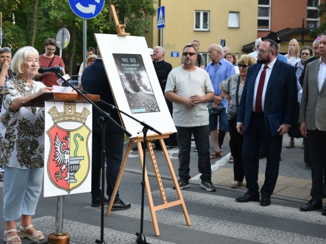 Galeria zdjęć