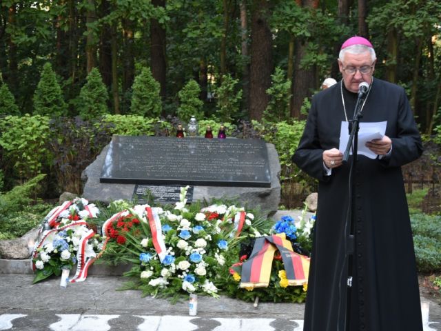 Galeria zdjęć