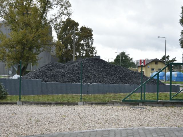 Galeria zdjęć
