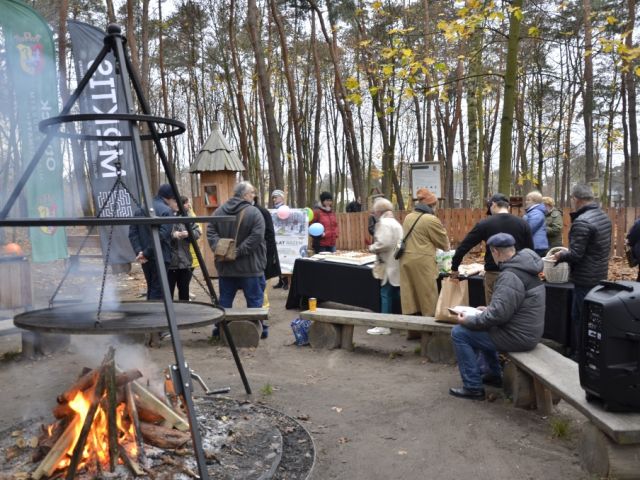 Galeria zdjęć