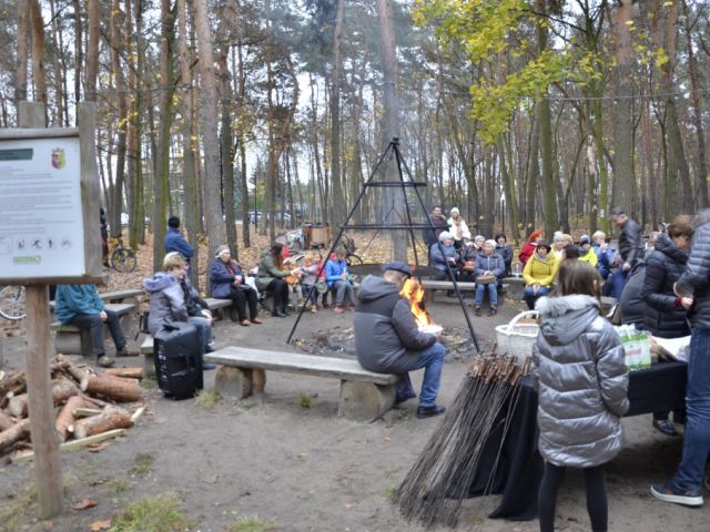 Galeria zdjęć
