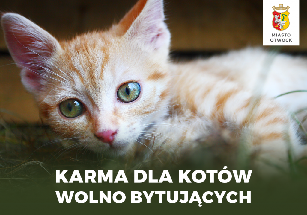 Galeria zdjęć
