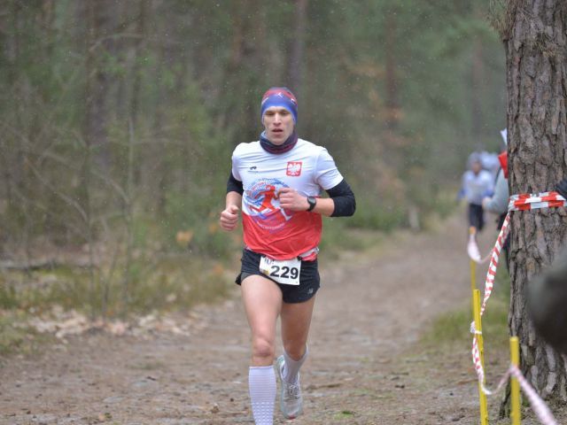 Galeria zdjęć